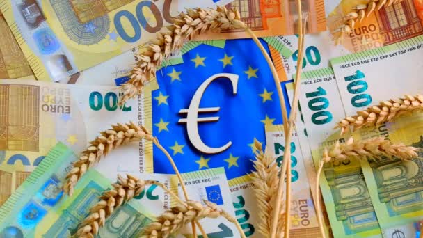 Prices for wheat in Europe.Falling euro coins on spikelets of wheat and euro bills on Euro Union flag background. Slow motion.Food Crisis in Europe.cost of wheat and flour in the EU countries. — 图库视频影像