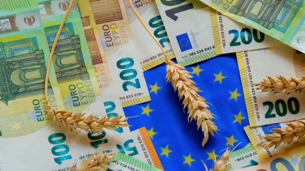 Вартість пшениці і борошна в ЄС.Зерна пшениці на колосках пшениці — стокове відео