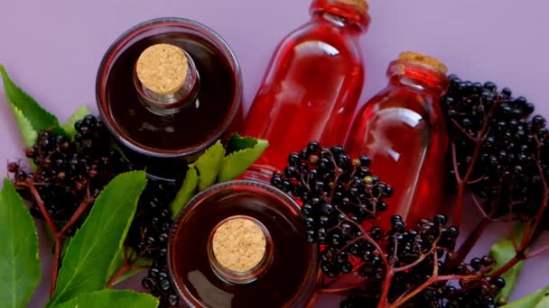Sambucus syrup.Elderberry xarope em um conjunto de garrafas de vidro e cachos de sabugueiros em um fundo roxo — Vídeo de Stock