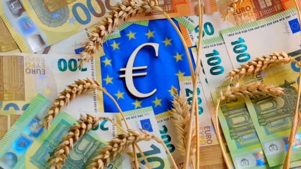 Prices for wheat in Europe.Falling euro coins on spikelets of wheat and paper euro bills on Euro Union flag background. Slow motion.Food Crisis in Europe.cost of wheat in the EU countries. — Vídeo de Stock