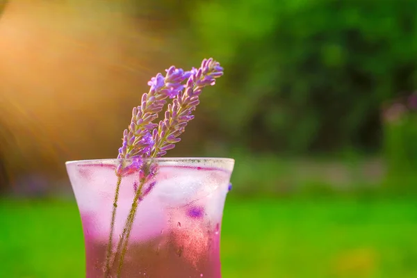 ラベンダーカクテル夏の飲み物。太陽の下でガラスとラベンダーの花を逃した。. — ストック写真