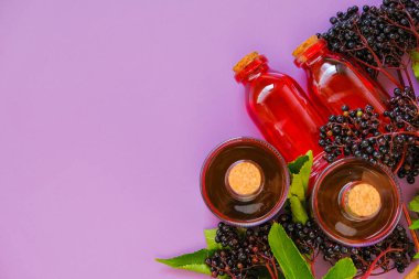 Sambucus meyveleri. Mürver hasadı. Sambucus şurubu. Yaşlı böğürtlen dalları. Şişede şerbet ve mor bir arka planda bir demet mürver..