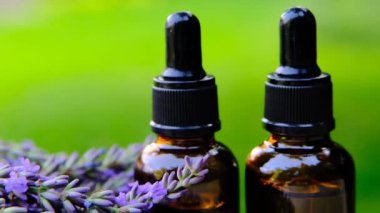 Yeşil bulanık arkaplandaki lavanta yağı şişeleri. Yaz bahçesinde organik lavanta yağı. Lavanta kokulu esans. Lavanta özlü kozmetik.