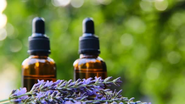 Lavendel Biologische Olie Zomertuin Aroma Van Lavendel Essentie Met Lavendelgeur — Stockvideo