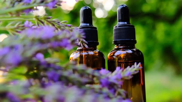 Lavendelolie Flessen Zomertuin Aroma Van Lavendel Essentie Met Lavendelgeur Aromatherapie — Stockvideo