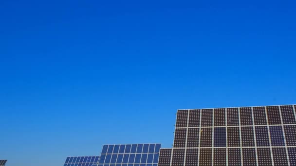 Energii Odnawialnej Zielona Energia Pole Paneli Słonecznych Wysokiej Jakości Materiał — Wideo stockowe