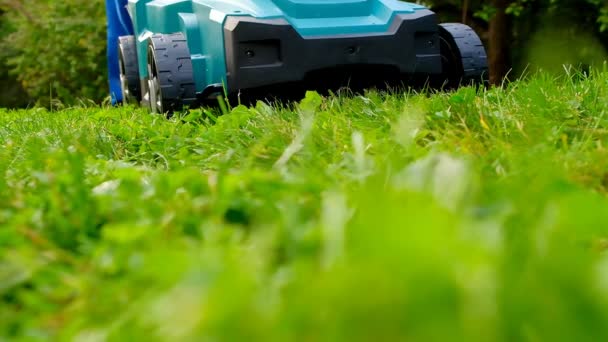 草坪修剪 花园工具和固定装置 在夏天的花园里 割草机在割草 高质量的4K镜头 — 图库视频影像