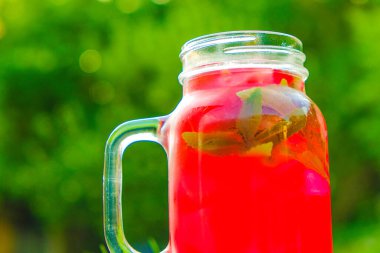 Karpuz yaz içeceği. Karpuz tatlısı. Stevie ile yaz karpuz içeceği. Bardakta buzlu kokteyl ile soğutulmuş soğutma. Yaz bahçesinde düşük kalorili karpuz içeceği..