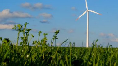 Yeşil enerji. Yeşil çimenlikteki rüzgar jeneratörü. Yenilenebilir enerji. Alternatif enerji kaynakları. Çevre dostu doğal enerji kaynağı.