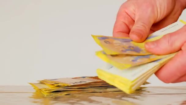 手中的欧元钱 重新计算钱 在欧洲国家的开支和收入 男人在白种人的背景上算作钞票 — 图库视频影像