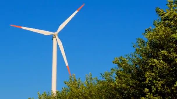 Moinho Vento Vento Forte Galhos Árvores Céu Azul Background Renewable — Vídeo de Stock