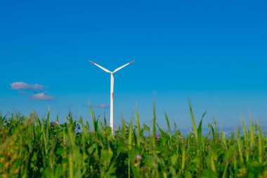 Yeşil çimenlikteki rüzgar jeneratörü. Mavi gökyüzü arka planındaki yel değirmeni. Yenilenebilir enerji. Çevre dostu doğal enerji kaynağı..