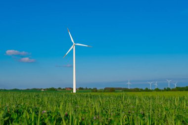 Yeşil otlardaki rüzgar jeneratörü. Yeşil enerji. Mavi gökyüzü arka planında yel değirmeni. Alternatif enerji kaynakları. Çevre dostu doğal enerji kaynağı..