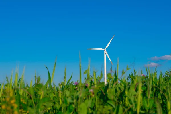 Windgenerator Auf Blauem Himmelhintergrund Erneuerbare Energie Alternative Energiequellen Umweltfreundliche Natürliche — Stockfoto