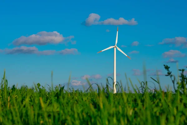 Wind generator in green grass.Green energy. Windmill on blue sky background.Environmentally friendly natural energy source.Consumption of natural energy.