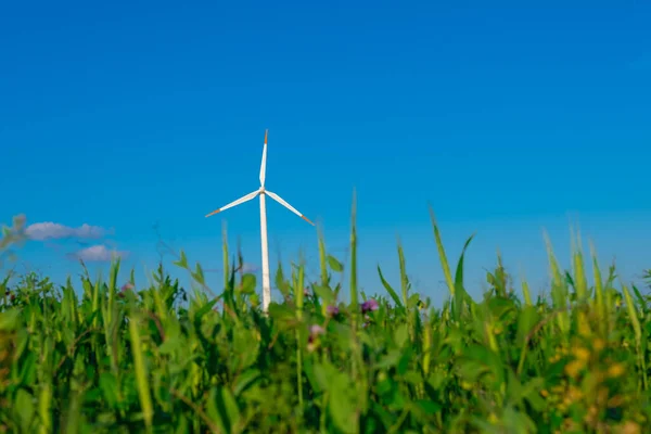 Windgenerator Grünen Rasen Grüne Energie Alternative Energiequellen Umweltfreundliche Natürliche Energiequellen — Stockfoto