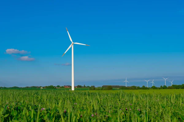 Wind generator in green grass.Green energy. Windmill on blue sky background.Alternative energy sources.Environmentally friendly natural energy source.Consumption of natural energy.