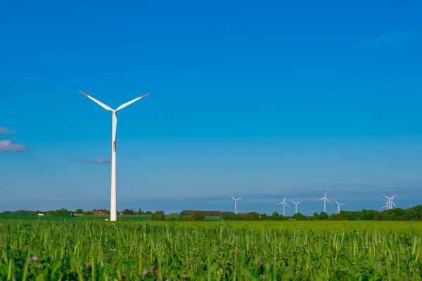 Wind generator in green grass.Windmill on blue sky background.renewable energy.Alternative energy sources.Environmentally friendly natural energy source.Consumption of natural energy.