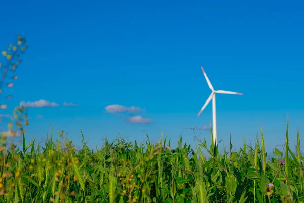 Green energy. Windmill on blue sky background.renewable energy.Environmentally friendly natural energy source.Consumption of natural energy.