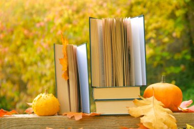 Kitaplar. Okuma ve eğitim. Okula geri dön. Sonbahar sıcacık kitapları. Cadılar Bayramı kitapları. Samimi sonbahar havası..
