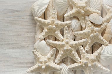 Deniz duvarı kağıdı. Deniz yıldızı ve bej renkli deniz kabukları. Deniz tarzında bir duvar kâğıdı. Beyaz dallar üzerinde deniz bej rengi deniz yıldızı. Yakından çekilir. Denizyıldızı ve akıntıya kapılmış ağaç deseni.