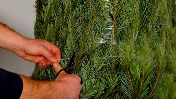 Arbre Noël Déballage Wrapped Arbre Noël Les Mains Masculines Coupent — Video