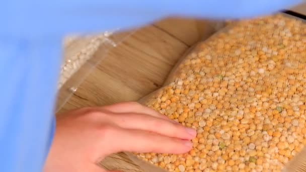 Süpürge Torbasındaki Bezelyeler Tahıl Süpürüyorum Sarı Bezelyeleri Boşaltıyorum Yüksek Kalite — Stok video