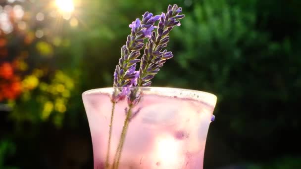 Lavender Cocktail Glass Cocktail Sun Slow Motion High Quality Footage — Stock Video