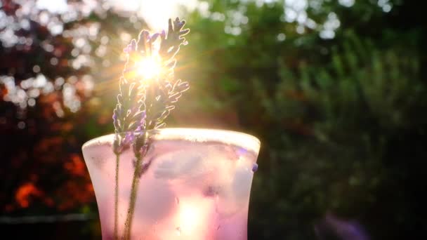 Lavender Cocktail Glass Koktajlem Słońcu Letni Koktajl Kwiatami Lawendy Plasterkami — Wideo stockowe