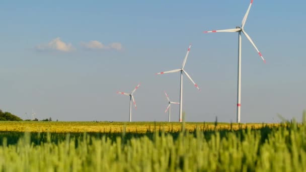 Generatori Eolici Incastonati Campo Frumento Frumento Maturo Mulini Vento Rotazione — Video Stock