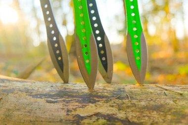 Siyah metal bıçaklar, bir adamın ellerini köknar ormanının arka planına atması için. Açık hava sporları, ekipmanlar. Güneşli bir ormanda bir kütüğe bıçak atmak.. 