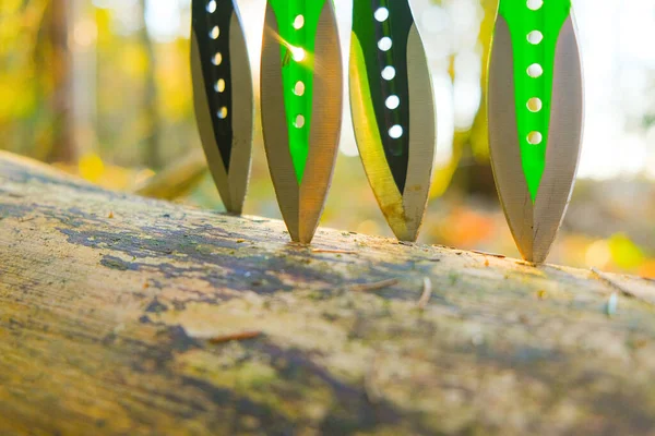 Throwing knives in a log in a sunny forest.Sport and hobby. Black metal knives for throwing in a mans hands on a fir forest background.Outdoor sports.Sports equipment.