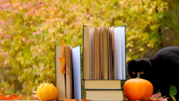 Sonbahar Kitapları Cadılar Bayramı Kitapları Sonbahar Bahçesinin Arka Planında Rüzgârda — Stok video