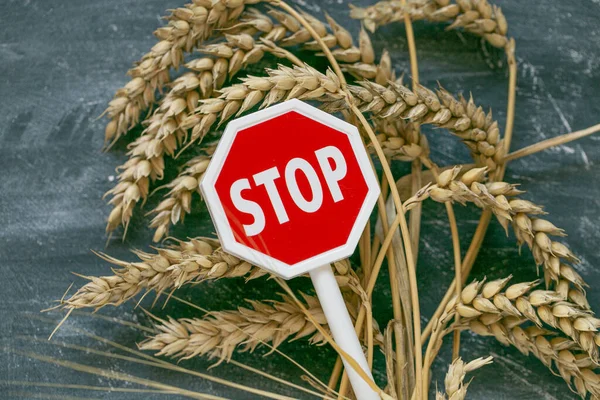 Stop on the import and export of wheat.Wheat ears and red stop sign on black chalk board background.food crisis.Wheat import and export ban.Rising prices for wheat and flour products.