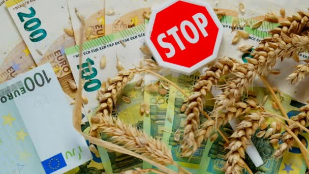 Importação Trigo Exportação Ban Rising Preços Para Trigo Farinha Products — Vídeo de Stock