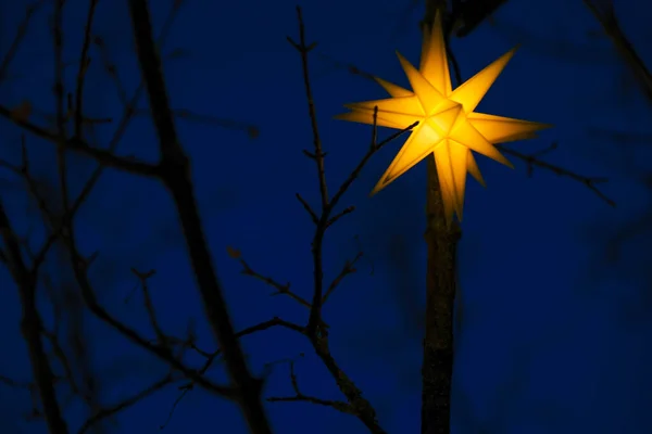 Kerstmis Gloeiende Slingers Lantaarns Takken Tegen Een Blauwe Hemel Gele — Stockfoto