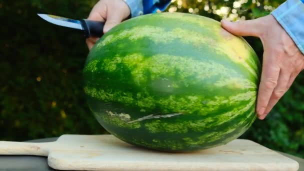 Snijdt Een Watermeloen Tuin Twee Helften Watermeloen Een Snede Mannelijke — Stockvideo