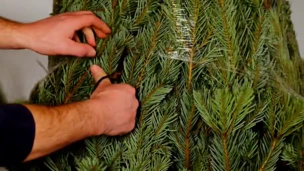Christmas Tree Unpacking Process Hands Cut Wrapped Mesh Christmas Tree — Vídeos de Stock