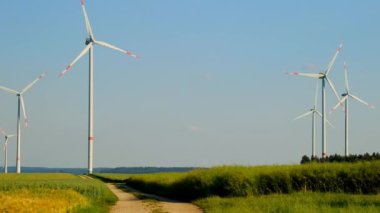 Rüzgar jeneratörleri bir alana yerleştirildi. yenilenebilir temiz enerji. Olgun buğday ve yel değirmeni. 4k görüntü