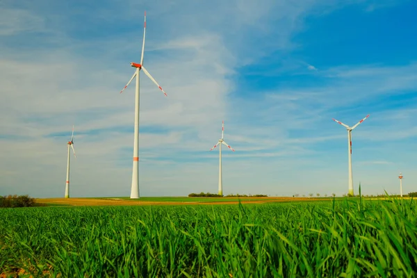 Wind renewable energy.Windmills in a field on a blue sky background.Wind generators. Natural energy.Natural renewable clean eco energy.