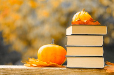 Okula. Sonbahar tematik okuması. Sonbahar bahçesinde güneş ışığıyla kitap ve balkabakları. Okula ve üniversite sezonuna başla. Sonbahar temalı kitaplar. Cadılar Bayramı kitapları.