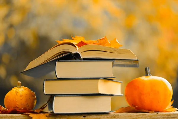 Start school and college season concept. Back to school.Autumn thematic reading. Books and pumpkins set in autumn garden with the rays of the sun.Books on the autumn theme.Halloween Books