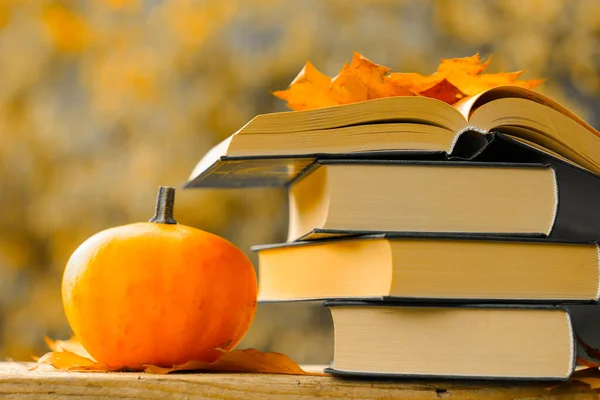 Halloween Books.Back to school.Autumn thematic reading. Books and pumpkins set in autumn garden with the rays of the sun.Start school and college season concept.Books on the autumn theme