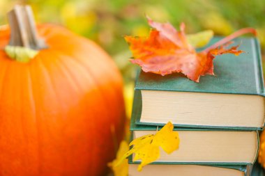 Autumn books. back to school.Study and education concept. Autumn cozy reading.Stack of books,pumpkins. Halloween books.Cozy autumn mood