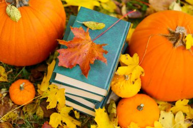  back to school.Study and education concept.Autumn books.Halloween books. Autumn cozy reading.Stack of books,pumpkins on the garden background .Cozy autumn mood.Reading in the autumn day. 