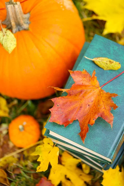 Autumn books. back to school.Study and education concept.Halloween books. Autumn cozy reading.Stack of books,pumpkins on the garden background .Cozy autumn mood.Reading in the autumn day.