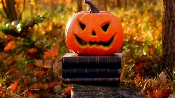Halloween Books Black Covers Pumpkin Jack Sunny Autumn Forest Halloween — стокове відео