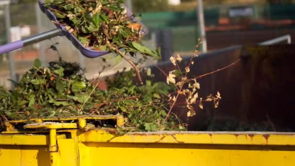 Green Compost Shovel Pours Metal Tank Twigs Leaves Dust Dumpster — Vídeo de stock