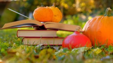 Back to school.Books on the autumn theme. Books and pumpkins set in autumn garden with the rays of the sun.Start school and college season concept