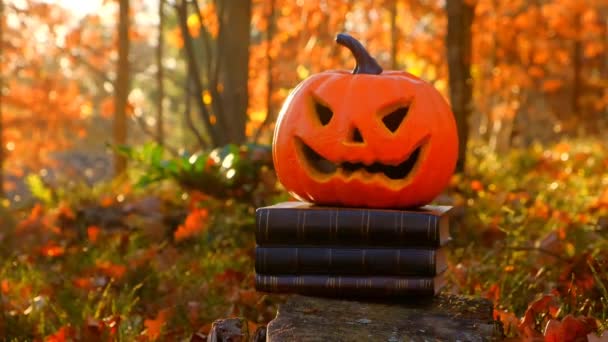 Halloween Books Black Covers Pumpkin Jack Sunny Autumn Forest Halloween — Stock videók
